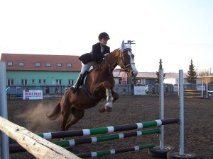 agro1