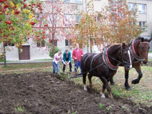 agro3